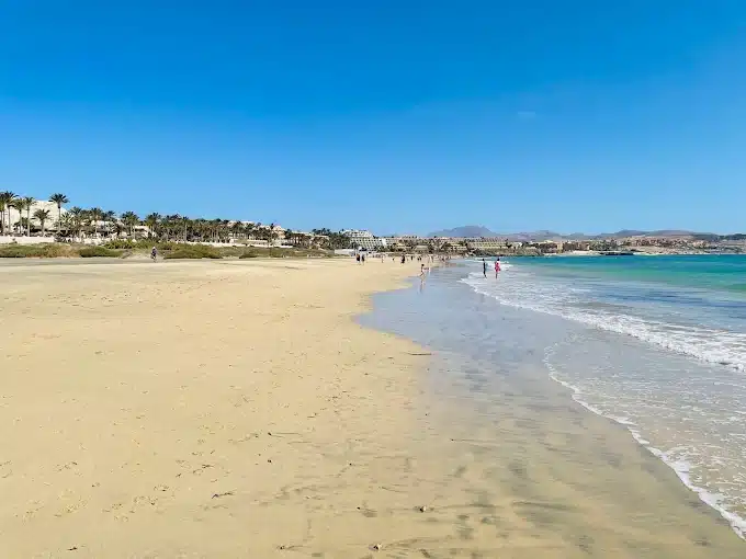 playas de costa calma beach