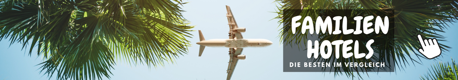 Ein Foto von unten auf ein fliegendes Flugzeug mit Palmen