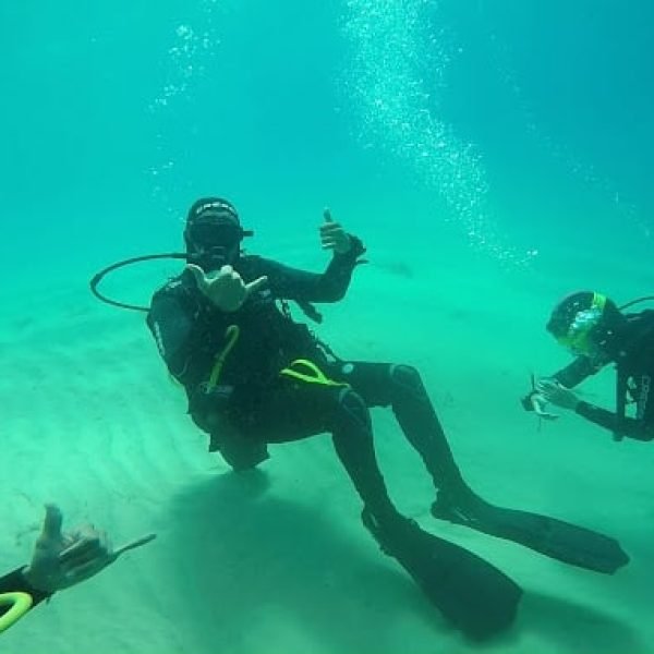 Dive Pro Fuerte